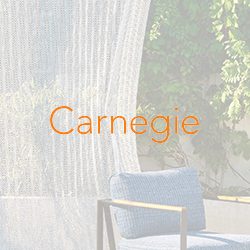 carnegie-foto
